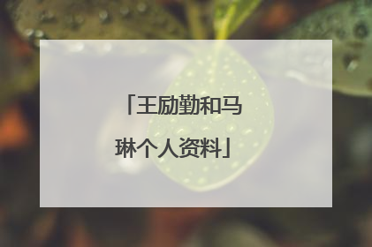 王励勤和马琳个人资料