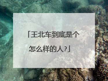 王北车到底是个怎么样的人?