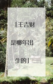 王吉财是哪年出生的