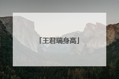王君瑞身高