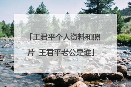 王君平个人资料和照片 王君平老公是谁