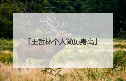 王哲林个人简历身高