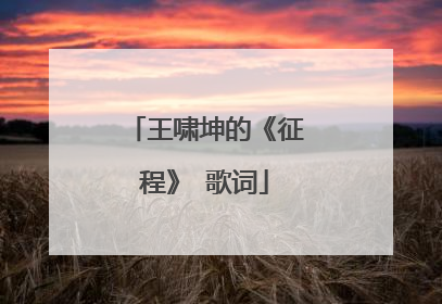 王啸坤的《征程》 歌词