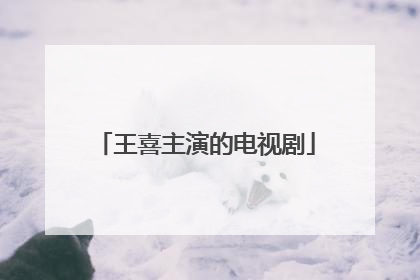 王喜主演的电视剧