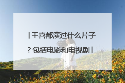王喜都演过什么片子？包括电影和电视剧
