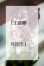 王嘉哪一年出生