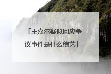王嘉尔疑似回应争议事件是什么综艺