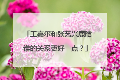 王嘉尔和张艺兴鹿晗谁的关系更好一点?