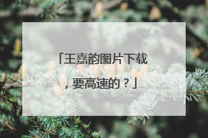 王嘉韵图片下载，要高速的？