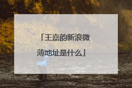 王嘉韵新浪微薄地址是什么