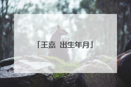 王嘉 出生年月
