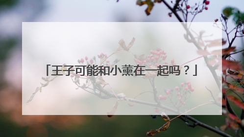 王子可能和小薰在一起吗?