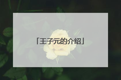王子元的介绍