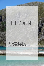 王子元的导演经历