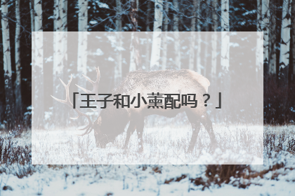 王子和小薰配吗？