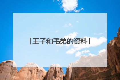 王子和毛弟的资料