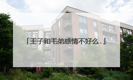 王子和毛弟感情不好么.