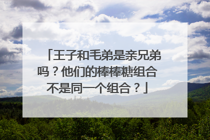 王子和毛弟是亲兄弟吗?他们的棒棒糖组合不是同一个组合?
