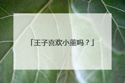 王子喜欢小薰吗?