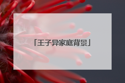 王子异家庭背景