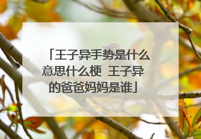 王子异手势是什么意思什么梗 王子异的爸爸妈妈是谁