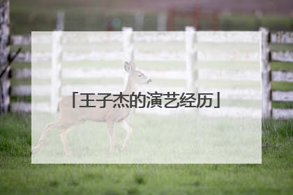 王子杰的演艺经历