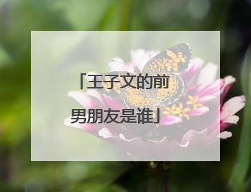 王子文的前男朋友是谁
