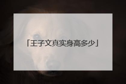 王子文真实身高多少