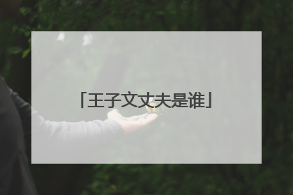 王子文丈夫是谁