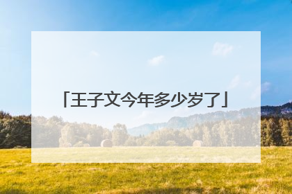 王子文今年多少岁了