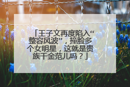 王子文再度陷入“整容风波”，撞脸多个女明星，这就是贵族千金范儿吗？