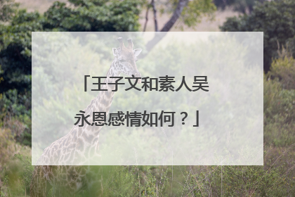 王子文和素人吴永恩感情如何?