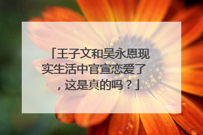 王子文和吴永恩现实生活中官宣恋爱了,这是真的吗?