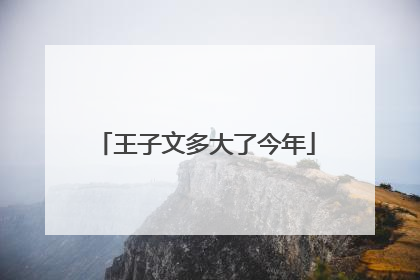 王子文多大了今年