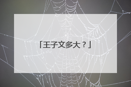 王子文多大？