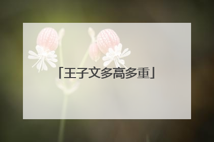 王子文多高多重