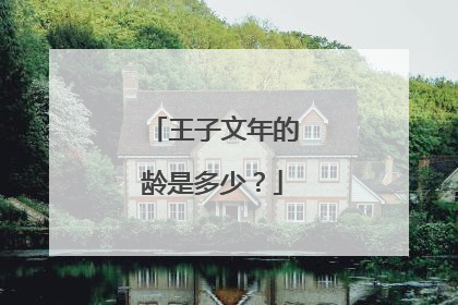 王子文年的龄是多少?