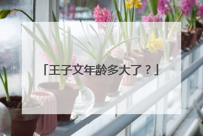 王子文年龄多大了?