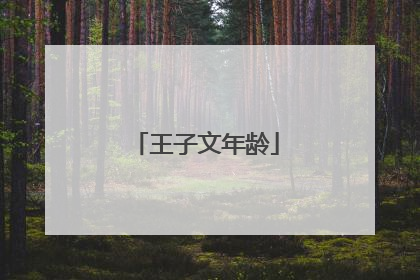 王子文年龄