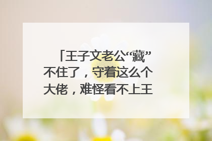 王子文老公“藏”不住了,守着这么个大佬,难怪看不上王凯,她老公是谁?