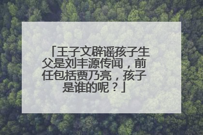 王子文辟谣孩子生父是刘丰源传闻，前任包括贾乃亮，孩子是谁的呢？