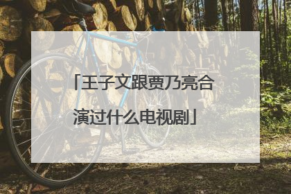 王子文跟贾乃亮合演过什么电视剧