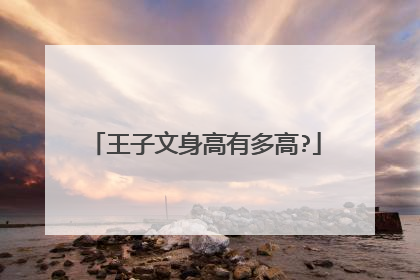 王子文身高有多高?