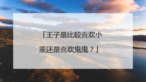 王子是比较喜欢小薰还是喜欢鬼鬼？