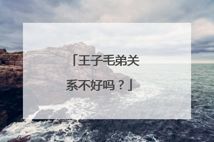 王子毛弟关系不好吗?