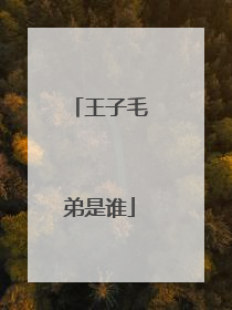 王子毛弟是谁