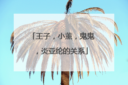 王子，小薰，鬼鬼，炎亚纶的关系