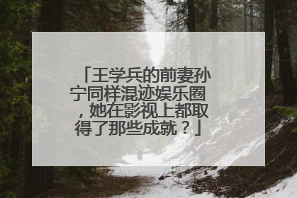 王学兵的前妻孙宁同样混迹娱乐圈,她在影视上都取得了那些成就?