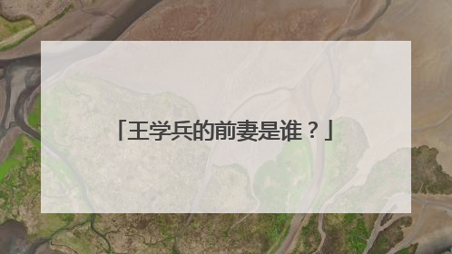 王学兵的前妻是谁?
