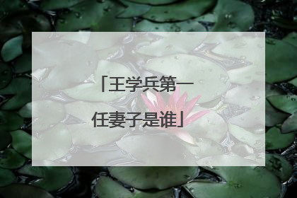 王学兵第一任妻子是谁